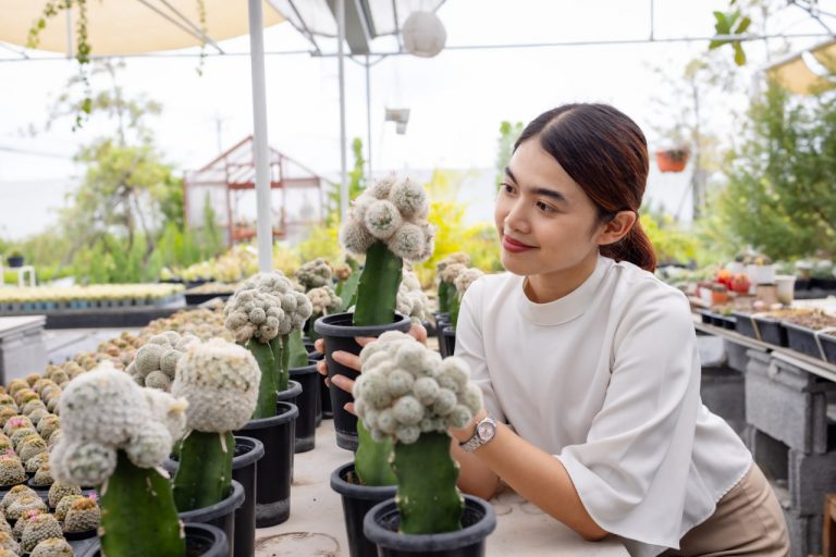 Mini Zen Gardens for Modern Life: Designing Small Spaces That Reduce Stress