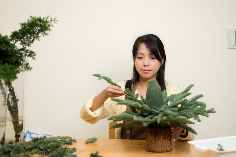 Japanese Minimalism in Home Decor: How Plants Create Calm and Balance